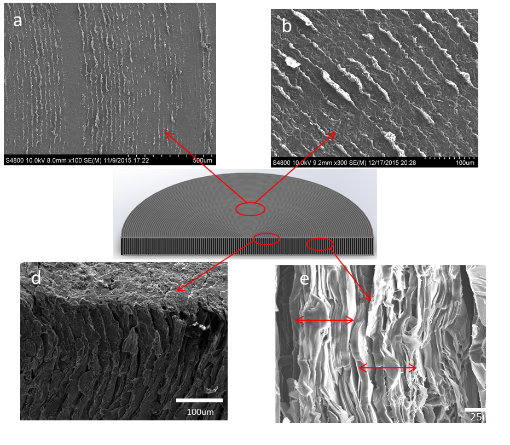 is graphene a material for the future 