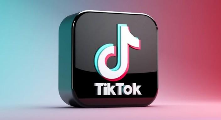 How To Download Tiktok Videos On Pc 