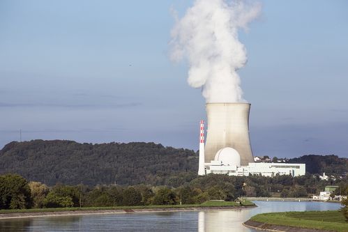 What Is The Fuel For Nuclear Power Plants 