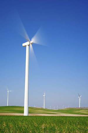 Which Country Has A Very Large Percentage Of Its Electricity Derived From Wind Power. 