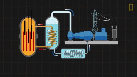 Which Of The Following Is True Regarding Nuclear Power Plants? 