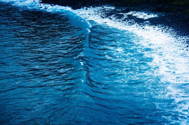 Does Tidal Energy Harm Waterlife 