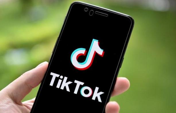 How To Delete Tiktok Account On Computer 