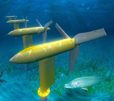 What Are The Buoys Called In Wave And Tidal  Energy 