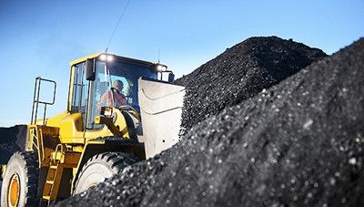 Pristine Power: Identifying the Most Energy-Efficient Coal Variety for Optimal Yield 