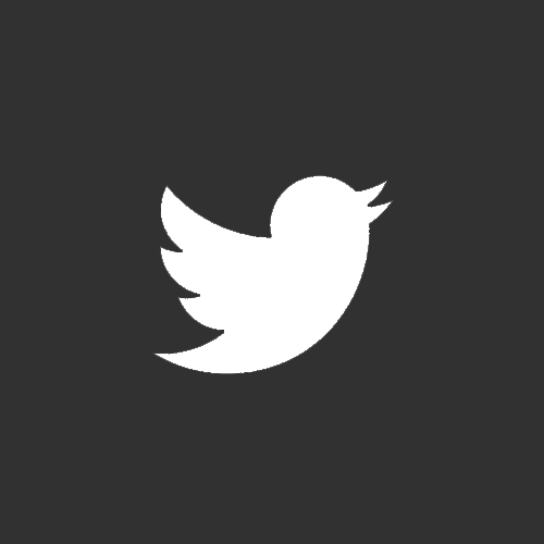 Stealth Moderation Spotlight: Understanding Twitter's Shadow Banning Policy 