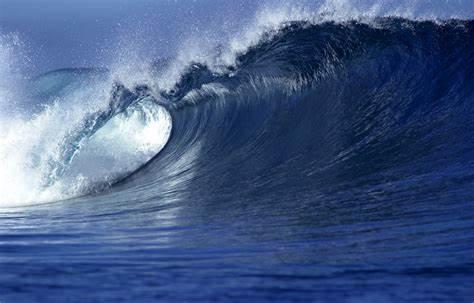 Economic Waves: What are the Economic Impacts of Tidal Energy? 