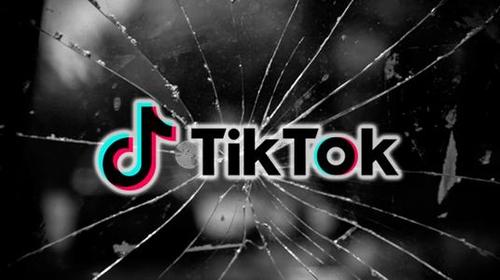 Adventures in Advertising: How Much do TikTok Ads Cost? 