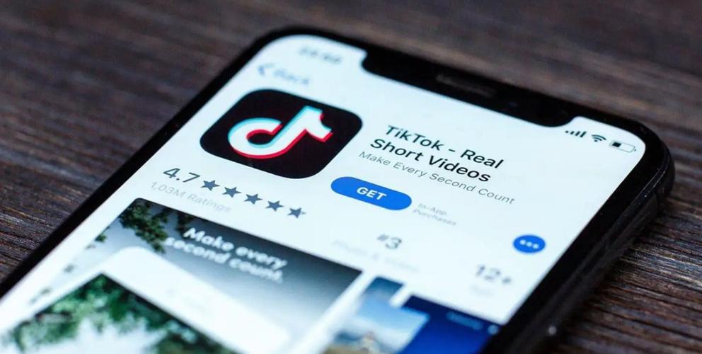 Founding Frenzy: Tracing the Origins of TikTok 