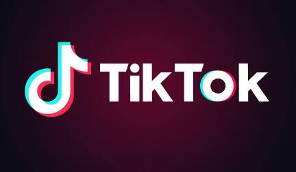 Video Vault: Saving TikTok Clips to Your PC 