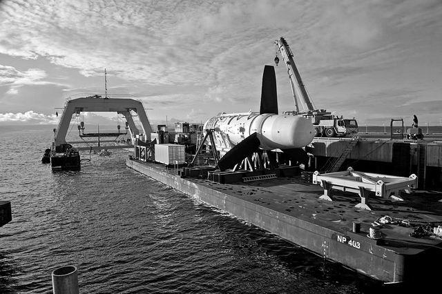 The Cost of Power: How Many Marine Lives have been Affected by Tidal Energy? 