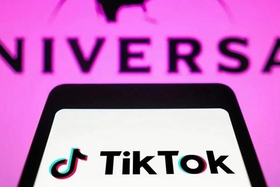 PC Navigation: How to Search on TikTok on PC 